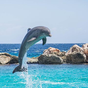 Miami Dolphins Leaping Dolphin Logo Poster, Unique Memorabilia Gift