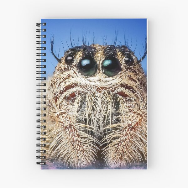 Item preview, Super Close Spider Macro Photography designed and sold by mikels.