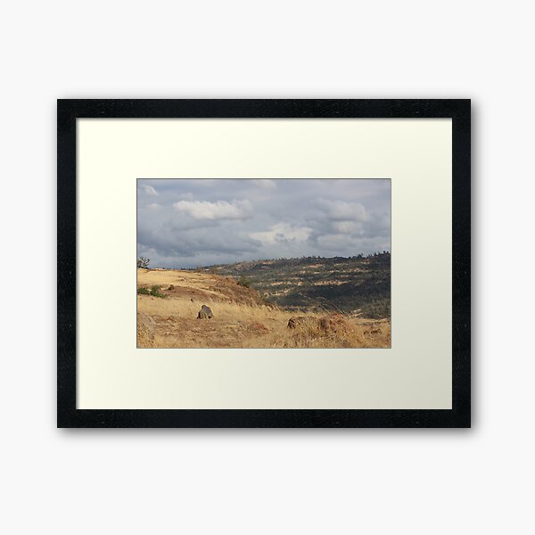 Upper Bidwell trail - Chico, CA Framed Art Print
