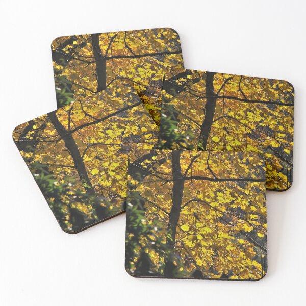 Item preview, Golden Slumbers designed and sold by AGODIPhoto.