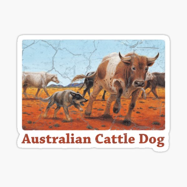 Item preview, Australian Cattle Dog designed and sold by Jeff Crosby.