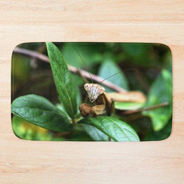 Item preview, Smiling Mantis designed and sold by DonnaM.