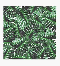 Greenery Photographic Print