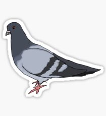Pigeon Sticker