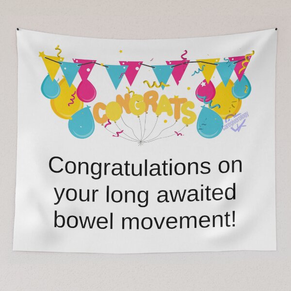 Item preview, Congratulations on your long awaited bowel movement designed and sold by Caregiverology.
