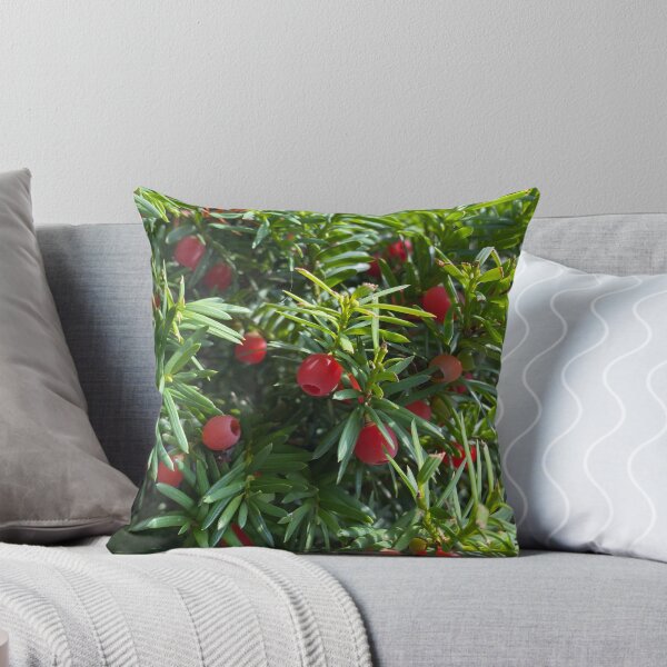 Artikelvorschau, Taxus Baccata Pflanze in voller Blüte entworfen und verkauft von navitaelwell.