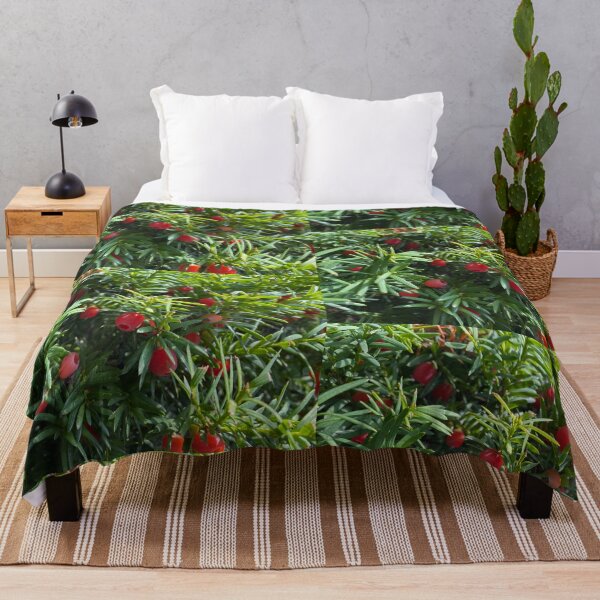 Item preview, Taxus Baccata Plant in Full Bloom designed and sold by navitaelwell.