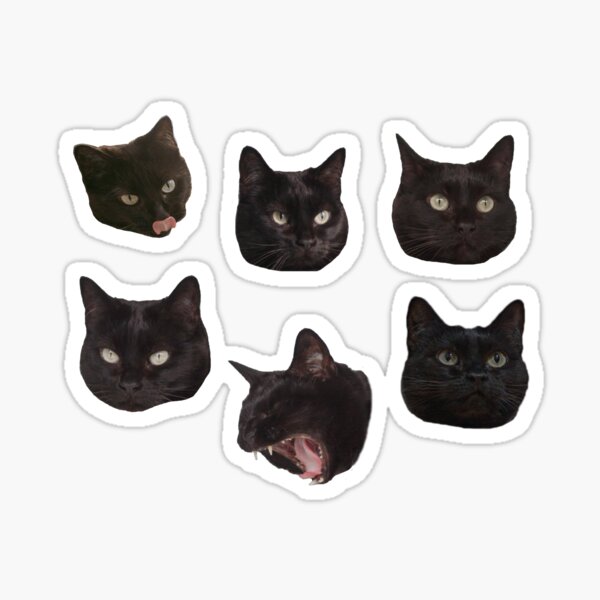 Pegatinas Cara De Gato Negro Redbubble - las 12 mejores imágenes de roblox en 2019 orejas de gato y