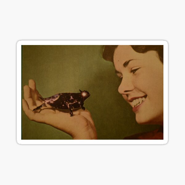 A New Pet Sticker
