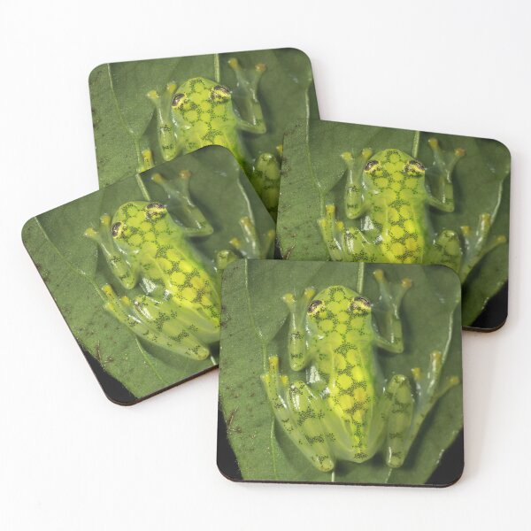 Item preview, Glass Frog  designed and sold by mlorenz.