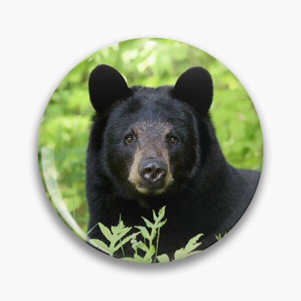 Item preview, Black Bear designed and sold by mlorenz.