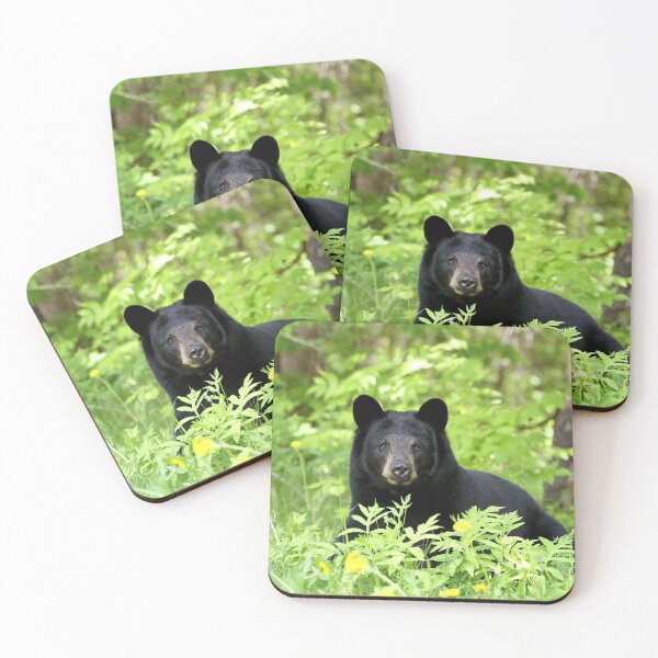 Item preview, Black Bear designed and sold by mlorenz.