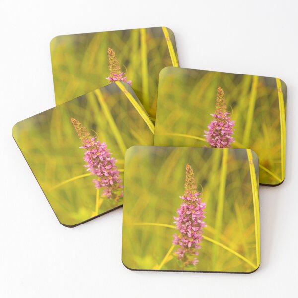 Item preview, Naturaleza y flor rosa designed and sold by Stéphane  Thirion.