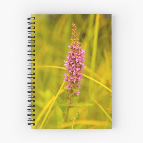 Aperçu de l'œuvre Fleur rose et nature créée et vendue par Stéphane  Thirion.