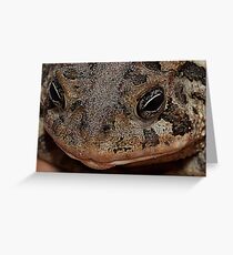 Southern Toad - Anaxyrus Terrestris Greeting Card
