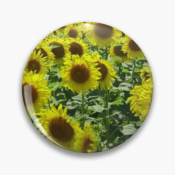 Aperçu de l'œuvre .... j'ai trouvé ce champ de soleil (tournesols) créée et vendue par JohnDSmith.