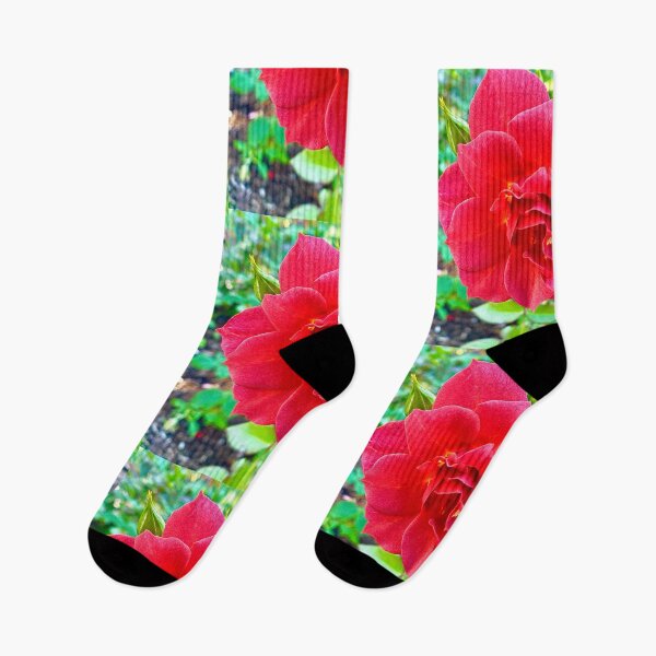 Item preview, Single Red Rose Blooming designed and sold by navitaelwell.