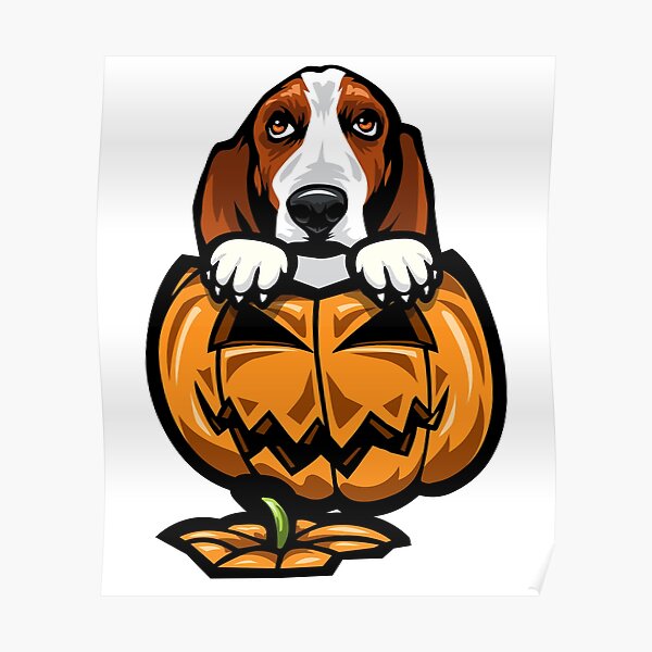 patrick sharp basset hound