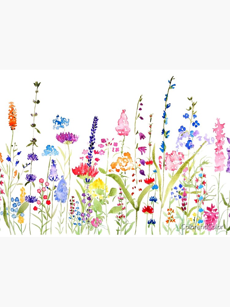 colorful wild flower field by ColorandColor