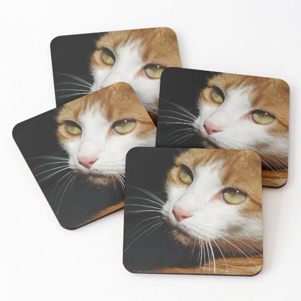 Item preview, Feline Glamor Shot Photograph designed and sold by MNKee.
