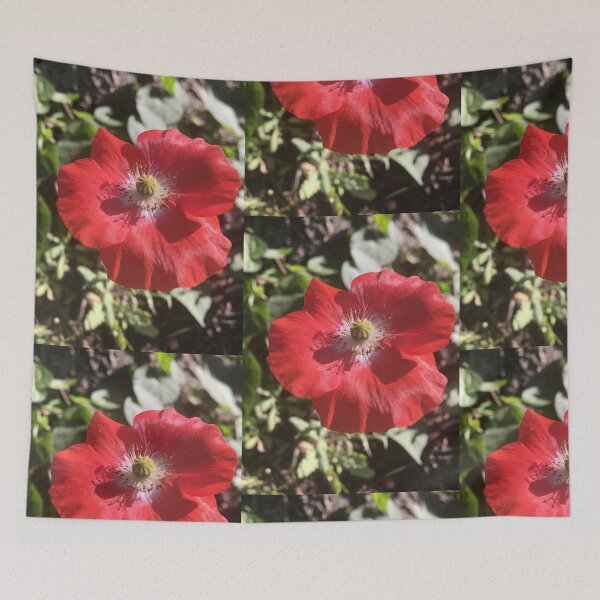 Item preview, Poppycock designed and sold by foggynotion.