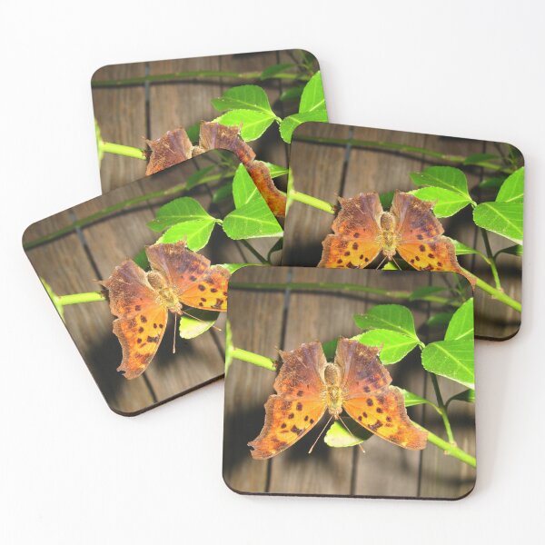 Item preview, Rustic Butterfly Photograph designed and sold by MNKee.