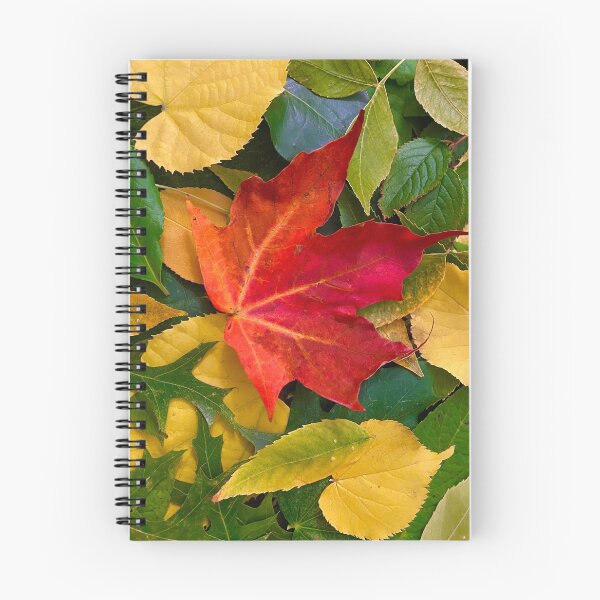 Item preview, Autumn Leaves Changing Color Collage  designed and sold by navitaelwell.