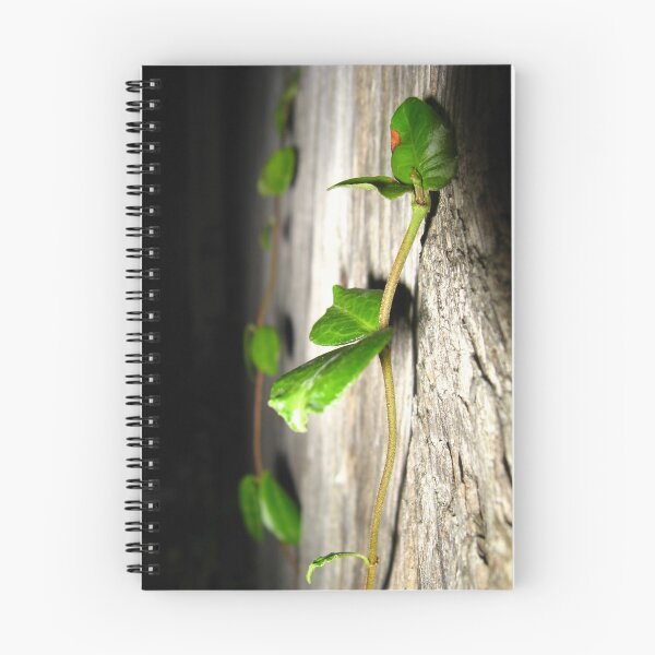 Item preview, The Climb Photograph designed and sold by MNKee.