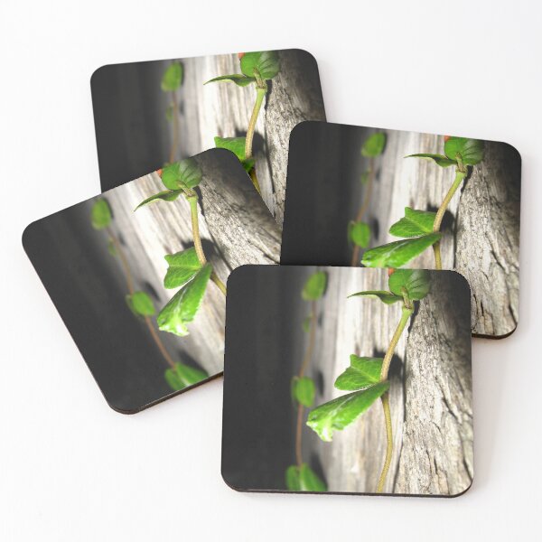 Item preview, The Climb Photograph designed and sold by MNKee.