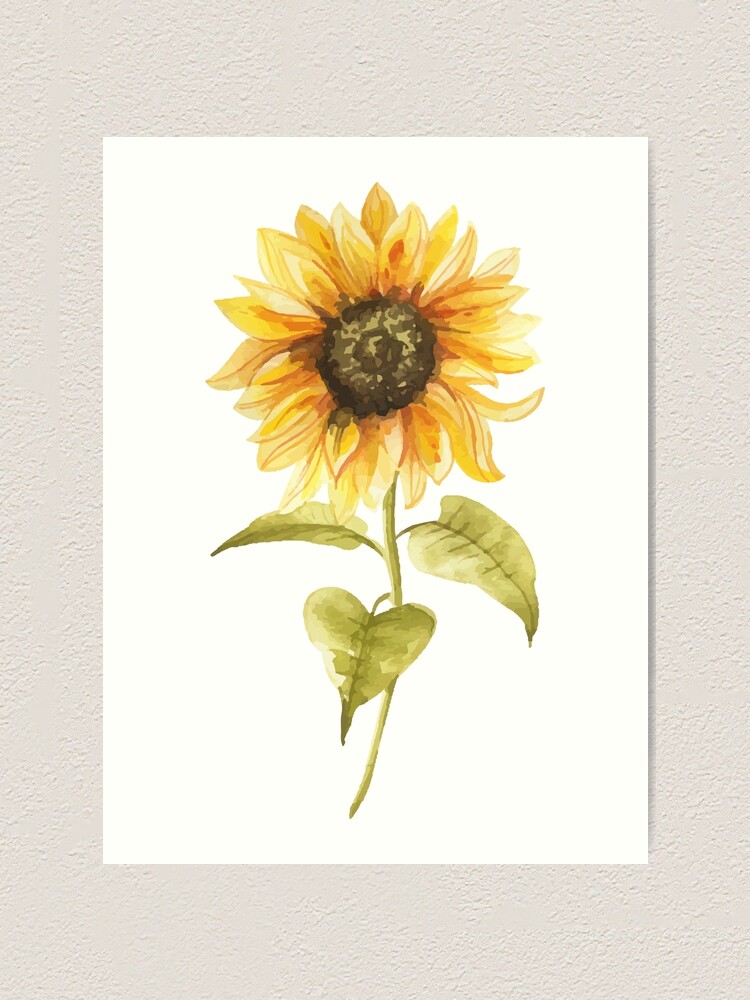 Watercolor Sunflower Canvas Print