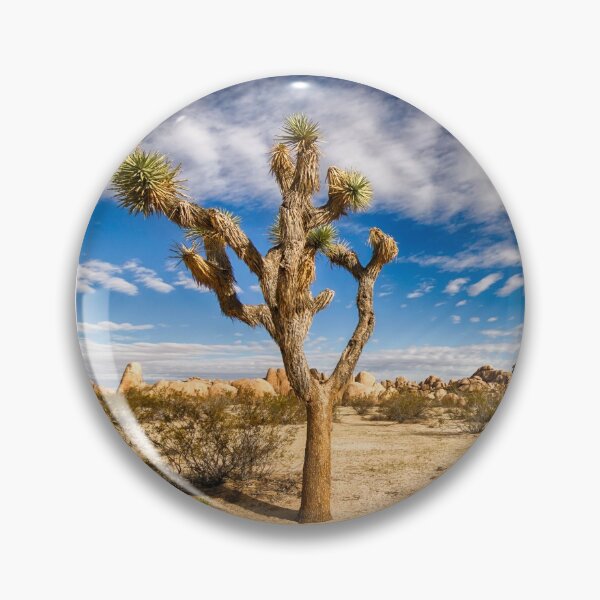 Item preview, Lone Tree designed and sold by YelloCoyote Photography.