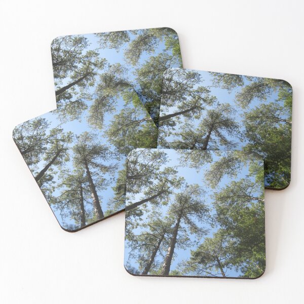 Item preview, Pine Tree Forest Photograph designed and sold by MNKee.