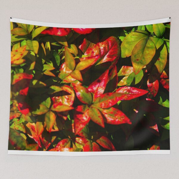 Item preview, The Colors of Fall designed and sold by Kitkatfoxx.
