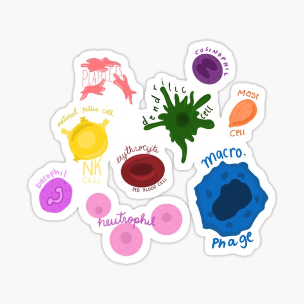 Item preview, hematology designed and sold by mmjeanette.