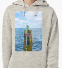 Three Friends in the Sea Pullover Hoodie