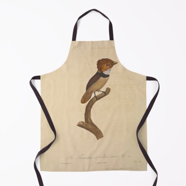 Item preview, Natural history of birds of paradise designed and sold by Bird-Lore.