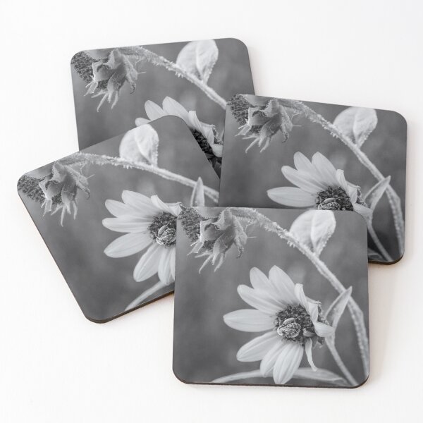 Item preview, Pollinator designed and sold by YelloCoyote Photography.