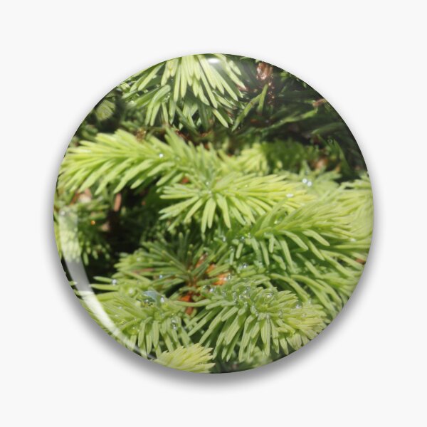 Item preview, Fresh green of fir tree designed and sold by Shoshina.