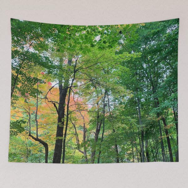 Item preview, Lush green woods with an accent of autumn designed and sold by MiaoMiaoYu.