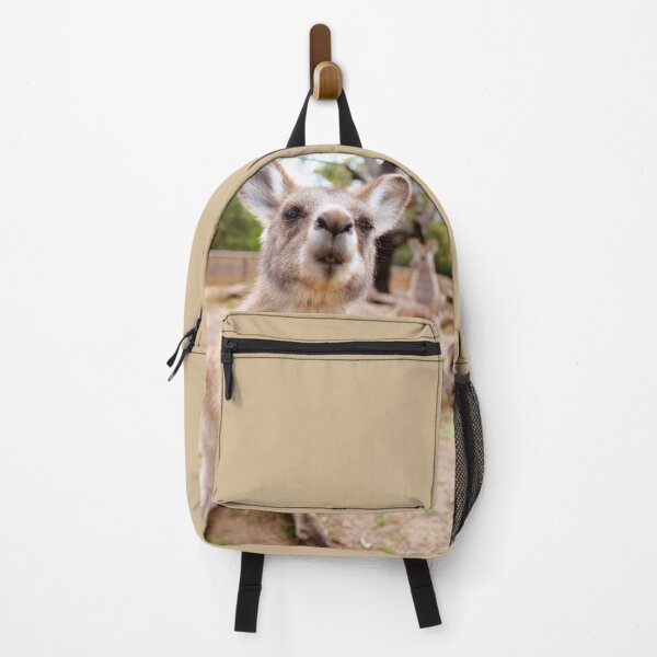 deuter kangaroo backpack