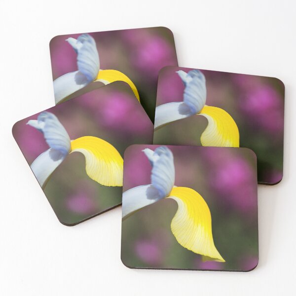 Item preview, Dutch Iris Symphony Iris designed and sold by Joy Watson - Natural Light Photography .