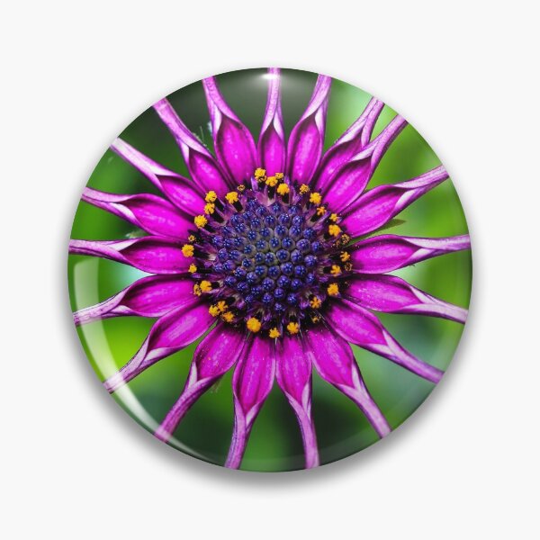 Item preview, Odd Couple designed and sold by Keith's Photo Artistry.