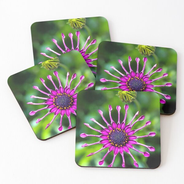 Item preview, Odd Couple designed and sold by Keith's Photo Artistry.