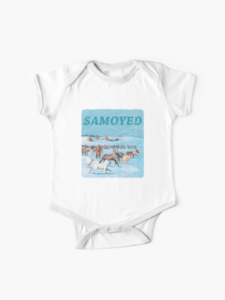 Dog Breed - the Samoyed