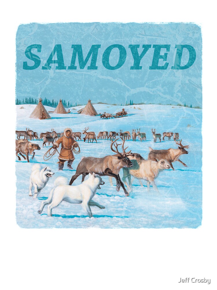 Dog Breed - the Samoyed