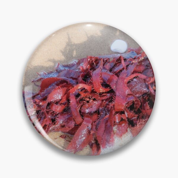 Item preview, seaweed designed and sold by JEZ22.