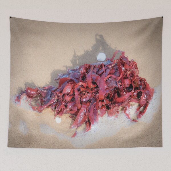 Item preview, seaweed designed and sold by JEZ22.