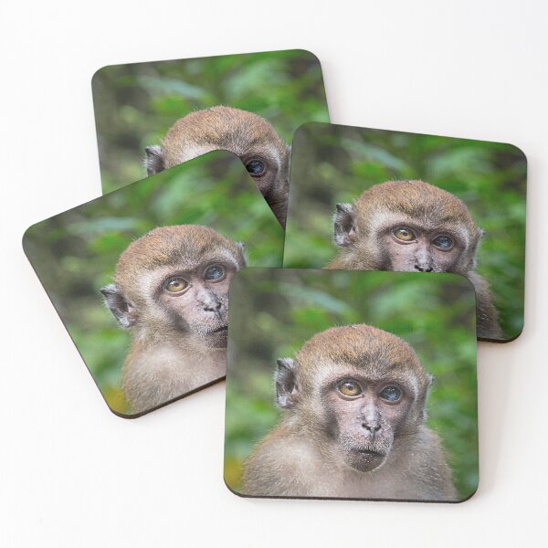 Item preview, Heterochromia iridum / monkey business designed and sold by Tahne.