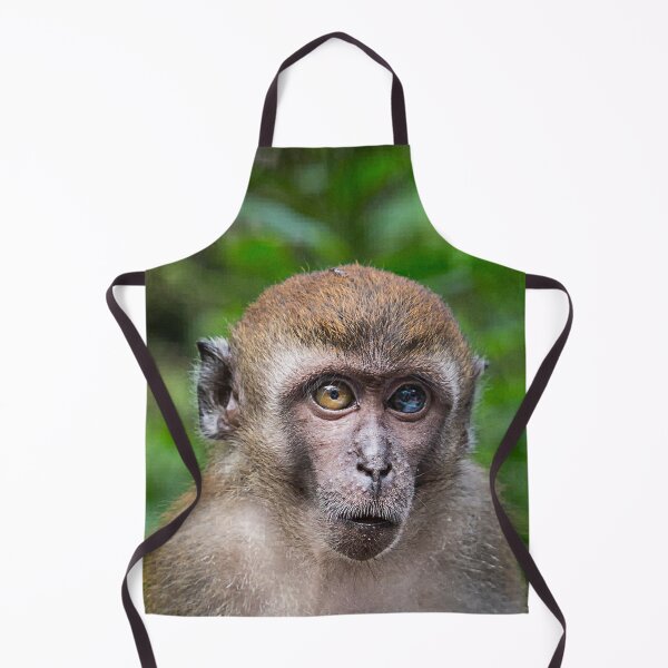 Item preview, Heterochromia iridum / monkey business designed and sold by Tahne.