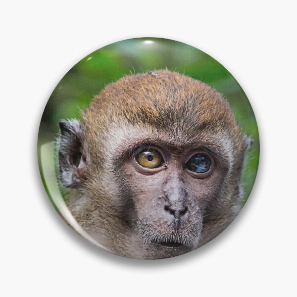 Item preview, Heterochromia iridum / monkey business designed and sold by Tahne.